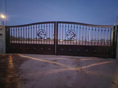 Arched double drive gate with horse head medallions at dusk